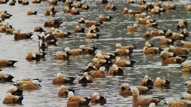 微信圖片_20260227171859_263_225