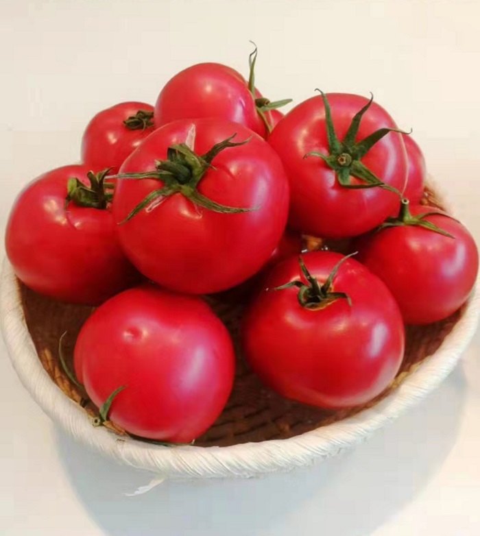 微信圖片_20230620150829