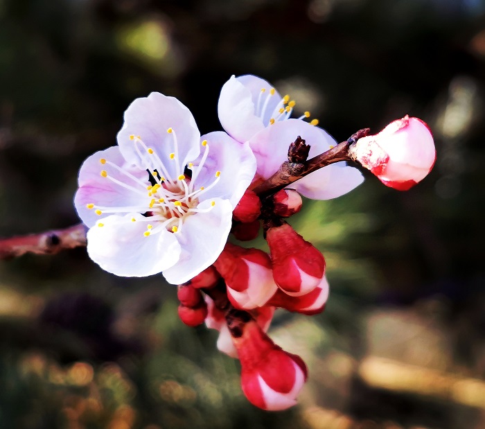 微信圖片_20230616185040